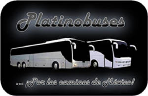 platinobuses.jpg